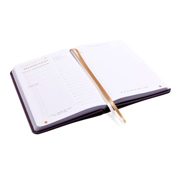 Full Focus Planner – Eggplant - Image 5
