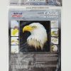 Harder u0026 Steenbeck and Airbrushing Stencil Set Eagle wildlife