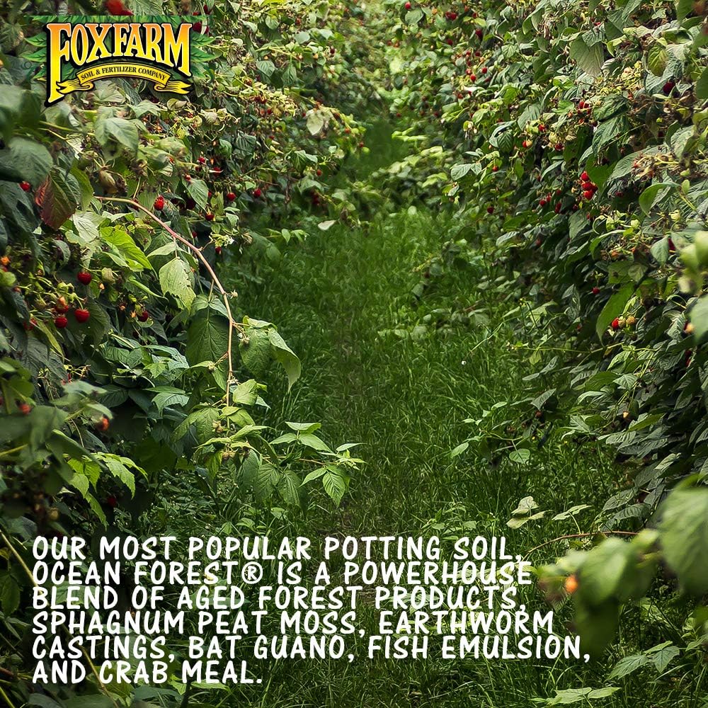 Fox Farm Ocean Forest Potting Soil Organic Plant Fertilizer for Garden Plants Indoor and Outdoor – Plant Soil – 38.5 Quart (1.5 cu ft). – (Bundled with Pearsons Protective Gloves) (4 Pack) - Image 4